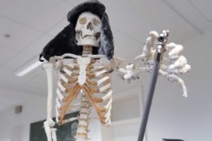 Skelett aus dem Biologieunterricht mit Fellmütze