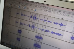 Bildschirm mit Audacity Programm